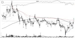 Read more about the article WOLF +1876%: the silicon-carbide base breakout, October 1998